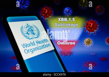 12. Januar 2023, Asuncion, Paraguay: Das Logo der Weltgesundheitsorganisation (WHO) auf einem Smartphone mit der Bezeichnung „Omicron, Variant XBB and its Subline XBB.1,5“ und visueller Darstellung des Virus. Der Omicron XBB.1,5 ist eine Sublinie von XBB, die nach Angaben DER WHO aus zwei BA.2-Sublinien rekombinant ist. (Bild: © Andre M. Chang/ZUMA Press Wire) Stockfoto