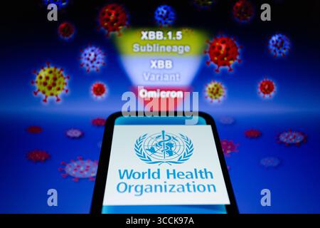 12. Januar 2023, Asuncion, Paraguay: Das Logo der Weltgesundheitsorganisation (WHO) auf einem Smartphone mit der Bezeichnung „Omicron, Variant XBB and its Subline XBB.1,5“ und visueller Darstellung des Virus. Der Omicron XBB.1,5 ist eine Sublinie von XBB, die nach Angaben DER WHO aus zwei BA.2-Sublinien rekombinant ist. (Bild: © Andre M. Chang/ZUMA Press Wire) Stockfoto