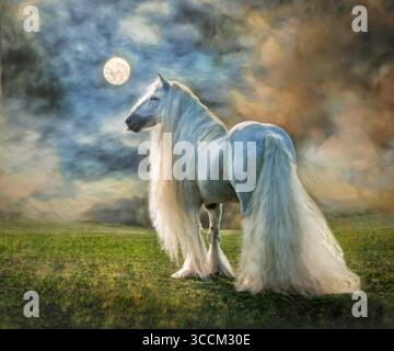 GYPSY HORSE HENGST MIT SEHR LANGER MÄHNE UND SCHWANZ, BELEUCHTET VON MOND UND WOLKEN. Stilisierte digitale Fotokunst. Stockfoto