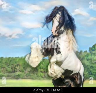 Erwachsener männlicher Zigeuner-Vanner-Pferd-Hengst, der sich auf dem Feld aufhält. Stilisierte digitale Fotokunst. Stockfoto