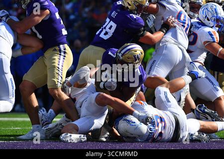 2. September 2023: Washington Huskies Running Back Dillon Johnson (7) erreicht im Husky Stadium in Seattle, WA, sechs Punkte im NCAA-Football-Spiel zwischen den Boise State Broncos und Washington Huskies. Washington besiegte Boise State mit 56:19. Steve Faber/CSM (Foto: © Steve Faber/CSM via ZUMA Press Wire) Stockfoto