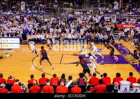 25. Februar 2023: Jaden Walker (21) stiehlt den Ball während der zweiten Hälfte des AAC Basketball Matchups gegen die Houston Cougars im Minges Coliseum in Greenville, NC. (Scott Kinser/Cal Sport Media) (Bild: © Scott Kinser/CSM via ZUMA Press Wire) Stockfoto