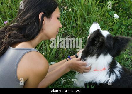 Indische Frau von Angesicht zu Angesicht mit ihrem Border Collie Hund auf einer Wiese, die einen warmen Moment an einem sonnigen Sommertag teilt. Perfekt für die Pflege von Haustieren, Hundespaziergänge und Stockfoto