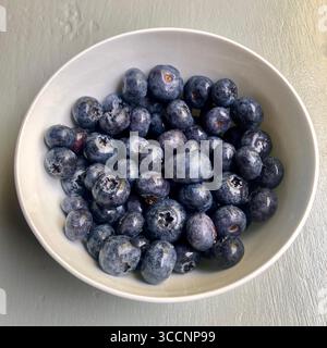 Eine Schüssel Heidelbeeren ist gewaschen und verzehrfertig. Stockfoto