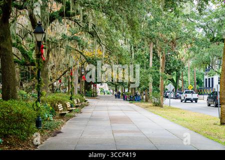 Savannah, GA, 28. Dezember 2023: Blick auf eine malerische Gasse im Forsyth Park im historischen Viertel Savannah, Georgia Stockfoto