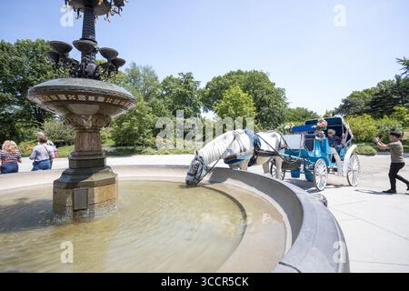 16. Mai 2023, NEW YORK, NEW YORK, USA: Ein Pferd, das an eine Kutsche gebunden ist, um Touristen zu transportieren, wird am Cherry Hill Fountain im Central Park in New York City beim Trinken und Abkühlen gesehen. Mai 2023 (Foto: © Vanessa Carvalho/ZUMA Press Wire) Stockfoto