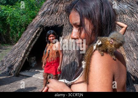 10. März 2008, Belen, Peru: Die Yagua-Indianer leben ein traditionelles Leben in der Nähe der Amazonasstadt Iquitos, Peru... das westliche Pygmäen-Murmeltier Cebuella pygmaea ist eine Art von Murmeltier, ein sehr kleiner Affe der Neuen Welt, der im nordwestlichen Amazonasgebiet in Brasilien, Kolumbien, Ecuador und Peru gefunden wird. Sie galt früher als konspezifisch mit dem ähnlichen östlichen Pygmäen-Murmeltier, das weißlich unterlegt ist. Obwohl das westliche Pygmäen-Murmeltier weiter westlich vorkommt als das östliche Pygmäen-Murmeltier, sind die Haupttrenner ihrer Gebirgszüge der Amazonas (SolimÃµes) und der MaraÃ± Stockfoto