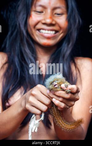 10. März 2008, Belen, Peru: Die Yagua-Indianer leben ein traditionelles Leben in der Nähe der Amazonasstadt Iquitos, Peru... das westliche Pygmäen-Murmeltier Cebuella pygmaea ist eine Art von Murmeltier, ein sehr kleiner Affe der Neuen Welt, der im nordwestlichen Amazonasgebiet in Brasilien, Kolumbien, Ecuador und Peru gefunden wird. Sie galt früher als konspezifisch mit dem ähnlichen östlichen Pygmäen-Murmeltier, das weißlich unterlegt ist. Obwohl das westliche Pygmäen-Murmeltier weiter westlich vorkommt als das östliche Pygmäen-Murmeltier, sind die Haupttrenner ihrer Gebirgszüge der Amazonas (SolimÃµes) und der MaraÃ± Stockfoto