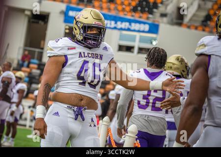 12. November 2023: Alcorn State Braves Linebacker Trevor James (46) begrüßt seine Teamkollegen während des NCAA-Fußballspiels zwischen den Alcorn State Braves und den Texas Southern Tigers im Shell Energy Stadium in Houston, Texas. Texas Southern besiegte Alcorn State mit 44:10. Prentice C. James via Cal Sport Media (Bild: © Prentice C. James/CSM via ZUMA Press Wire) Stockfoto