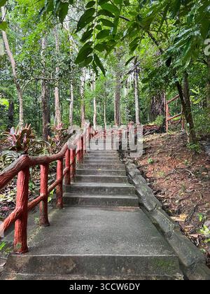 Steintreppen mit roten Geländern führen durch den üppigen tropischen Wald von Langkawi, Malaysia. Stockfoto