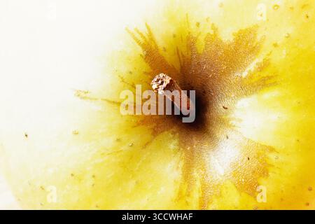 Nahaufnahme bei einem grünen Apfel Stockfoto
