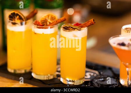 Elegante orange-rosafarbene Cocktails in Martini-Gläsern, garniert mit getrockneten Zitrusscheiben und violetten Blütenblättern, in einem warmen und lebendigen B Stockfoto