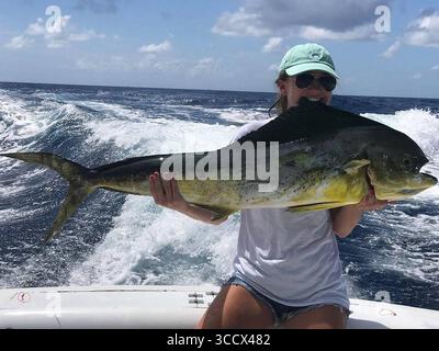 11. Oktober 2022: Ein undatiertes Aktenfoto zeigt große Mahi, die gefangen und in die Post Card Inn Marina in Islamorada gebracht wurden. Der Fisch wurde an Bord der Early Bird Fishing Charters gefangen. (Bild: © Miami Herald via ZUMA Press Wire) Stockfoto