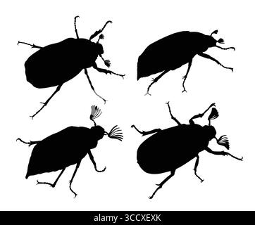Eine Reihe von Silhouetten von Viehkäfern. Stock Vektor