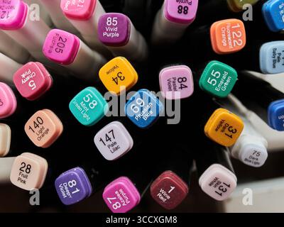 Sammlung von bunten Stiften mit Zahlen und Buchstaben darauf. Die Stifte sind in einer Reihe angeordnet, wobei einige lebendiger sind als andere. Konzept der cre Stockfoto