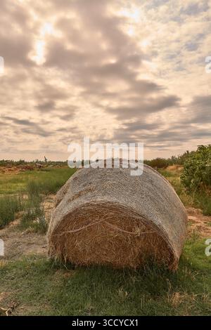 Eine Nahaufnahme eines runden Heuballen, der auf einem grünen Feld unter einem dramatischen, bewölkten Himmel am späten Sommernachmittag ruht. Stockfoto