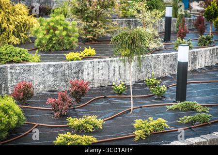 Eine wunderschön angeordnete Landschaft mit verschiedenen Pflanzen und dekorativer Beleuchtung entlang der gewundenen Wege in einem modernen Gartendesign. Stockfoto