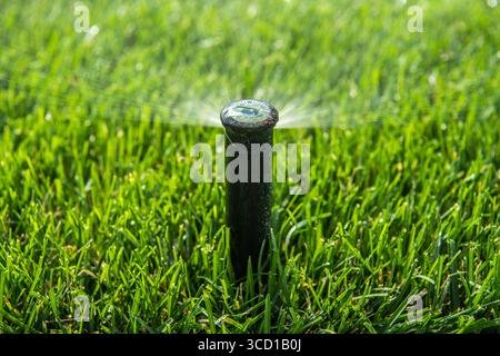 Ein Sprinkler steht hoch auf einem leuchtend grünen Rasen und sprüht unter hellem Sonnenlicht sanft Wasser über das Gras und schafft eine erfrischende Atmosphäre. Stockfoto