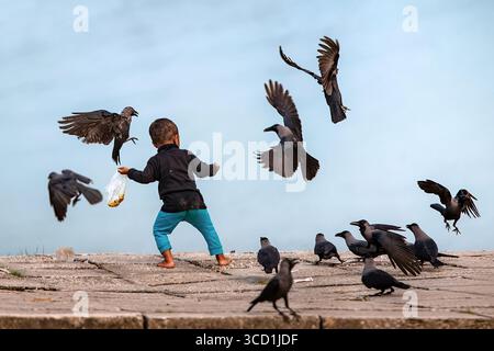 Bogura, Bangladesch - 20. November 2021: Blick auf ein Kind in leuchtend blauen Hosen, das Futter für eine Krähenherde am hellen Himmel auf einem Stein verstreut Stockfoto