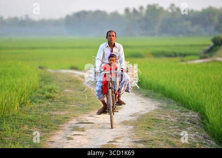 Bogura, Bangladesch - 4. April 2020: Blick auf Vater und Kind, die auf einem unbefestigten Pfad, flankiert von lebhaften grünen Reisfeldern, Fahrrad fahren, was eine ruhige ländliche Szene schafft. Stockfoto
