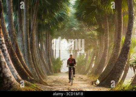 Bogura, Bangladesch - 25. Dezember 2017: Blick auf einen Radfahrer, der anmutig eine sonnenverwöhnte Allee hinuntergleitet, die von hohen Palmen gesäumt ist, deren Strukturen einen atemberaubenden Tunnel bilden. Stockfoto