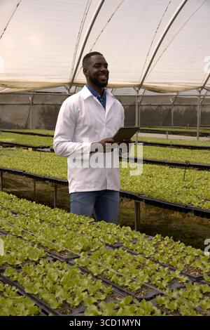 Mittelalter afroamerikanischer Mann mit Labormantel, der Sämling-Tabletts im Gewächshaus mit Tablette inspiziert Stockfoto