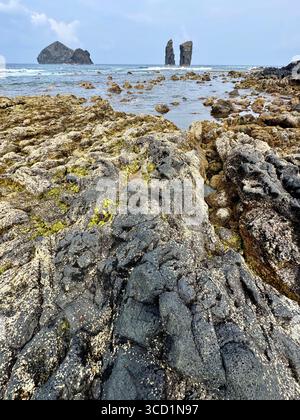 Basaltische Lavaformationen und Küstenfelsen mit Mosteiros-Inseln im Hintergrund, Insel São Miguel, Azoren. Stockfoto