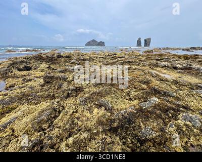 Basaltische Lavaformationen und Küstenfelsen mit Mosteiros-Inseln im Hintergrund, Insel São Miguel, Azoren. Stockfoto