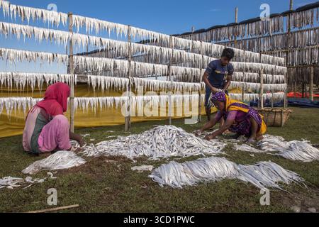 Cox's Bazar, Bangladesch - 29. November 2022: Blick auf Frauen in leuchtenden Saris und einen Mann, der silbrige Fische vor einem Hintergrund von Trockenregalen unter hellem Himmel sortiert. Stockfoto