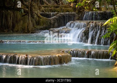 Natürliche Kalksteinterrassen und smaragdgrüne Pools des Kuang Si Wasserfalls im üppigen Dschungel in der Nähe von Luang Prabang, Laos Stockfoto