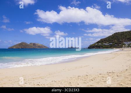 Blick auf den unberührten weißen Sandstrand trifft auf das türkisfarbene Karibische Meer unter einem hellblauen Himmel mit flauschigen Wolken, ein tropisches Paradies lockt Stockfoto