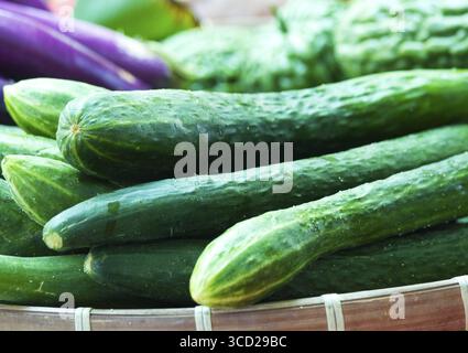 Bio frische Gurken auf einem Marktstand verkauft Stockfoto
