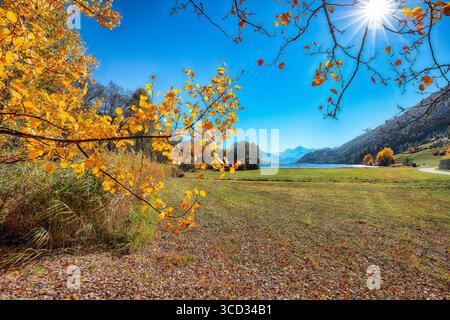 Herrlicher Herbstblick auf den Haidersee (Lago della Muta) mit Ortlergipfel im Hintergrund. Ort: Lago della Muta oder Haidersee, Provinz Südtirol, Stockfoto
