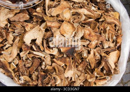 Nahaufnahme von getrockneten Stachelpilzen in einem großen Plastikbeutel. Getrocknete Bio-Boletusscheiben zum Kochen, Würzen und Gourmet-Rezepte. Stockfoto