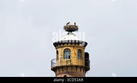 Historischer Turm mit Vogelnest auf der Spitze, eine seltsame Mischung aus Architektur und Natur vor Einem sauberen Himmel Stockfoto