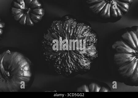 Verschiedene Arten von kleinen Kürbissen, schwarz auf dunklem Hintergrund gestrichen. Draufsicht, flach liegend Stockfoto