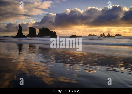 Bandon Beach ist an der südlichen Küste Oregons angesiedelt. Stockfoto