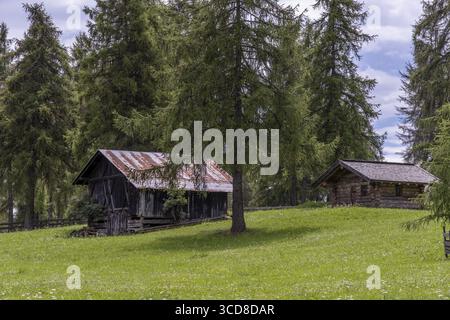 Zwei alte Holzhütten auf einer Almwiese im Südtiroler Lärchenwald Stockfoto
