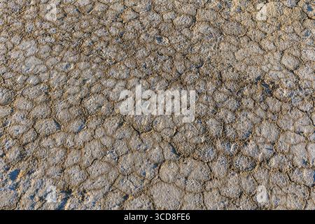 Muster des trockenen Seebeckens im Tuzbair-Salzwiesen in Mangystau, Kasachstan Stockfoto