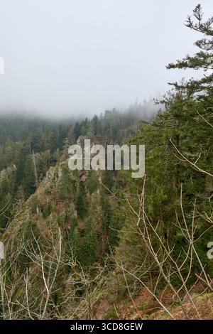 Dieses eindrucksvolle Foto zeigt eine dramatische nebelige Berglandschaft im Schwarzwald, Deutschland, mit dichten immergrünen Wäldern und zerklüfteten Felsen Stockfoto