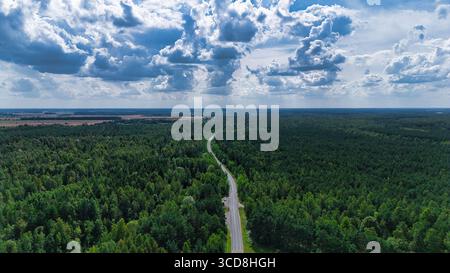 Panoramablick auf die gewundene Straße durch dichten grünen Wald unter dramatischem bewölktem Himmel Stockfoto