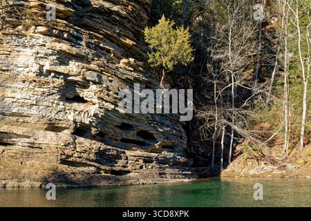 Ein einsamer, hellgelber Baum, der an einem sonnigen Tag im Winter auf der Seite des felsigen Kliffs entlang des Baches wächst Stockfoto