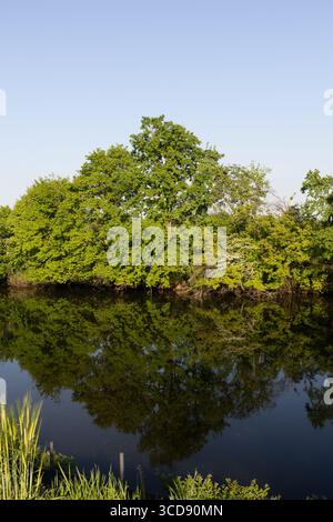 Ruhige Landschaft mit einem ruhigen Fluss und lebendigen grünen Bäumen, die sich auf der spiegelähnlichen Oberfläche des Wassers spiegeln. Ein altes hölzernes Boot verleiht dem einen rustikalen Charme Stockfoto