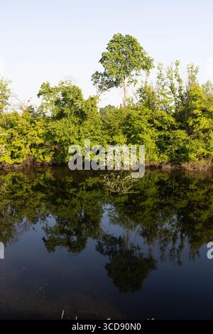 Ruhige Landschaft mit einem ruhigen Fluss und lebendigen grünen Bäumen, die sich auf der spiegelähnlichen Oberfläche des Wassers spiegeln. Ein altes hölzernes Boot verleiht dem einen rustikalen Charme Stockfoto