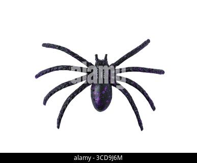 Schwarzer Kunststoff-Halloween-Spinne isolierter Ausschnitt auf weiß Stockfoto