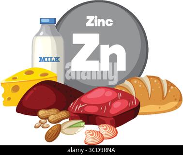 Vector illustration of zinc-rich foods including milk, cheese, red meat, bread, nuts, and shellfish in a flat, colorful style Stock Vektor