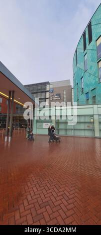 Newcastle upon Tyne, Großbritannien - 20. Januar 2025: Royal Victoria Infirmary, RVI, Heim des Great North Children's Hospital. Stockfoto