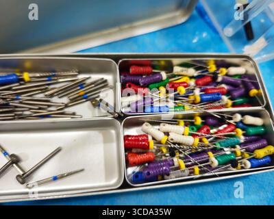 Ein Zahntablett aus Edelstahl enthält eine Reihe endodontischer Instrumente, die für die Wurzelkanaltherapie verwendet werden Stockfoto