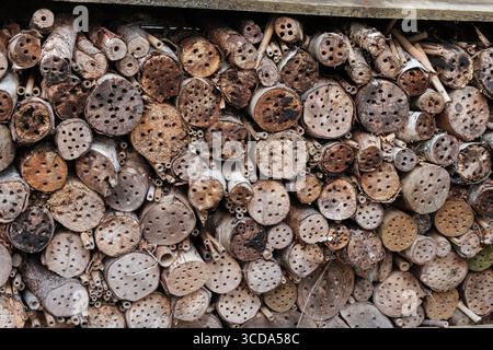 Insektenhotel aus gestapelten Holzstämmen mit gebohrten Löchern, die einen natürlichen Lebensraum für einsame Bienen und Bestäuber in einem Wildgarten bieten. Stockfoto