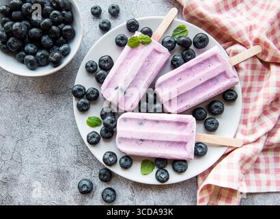 Eislippesikel aus hausgemachtem Joghurt und frischen Bio-Blaubeeren. Stockfoto